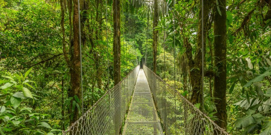 Broen i Monteverde