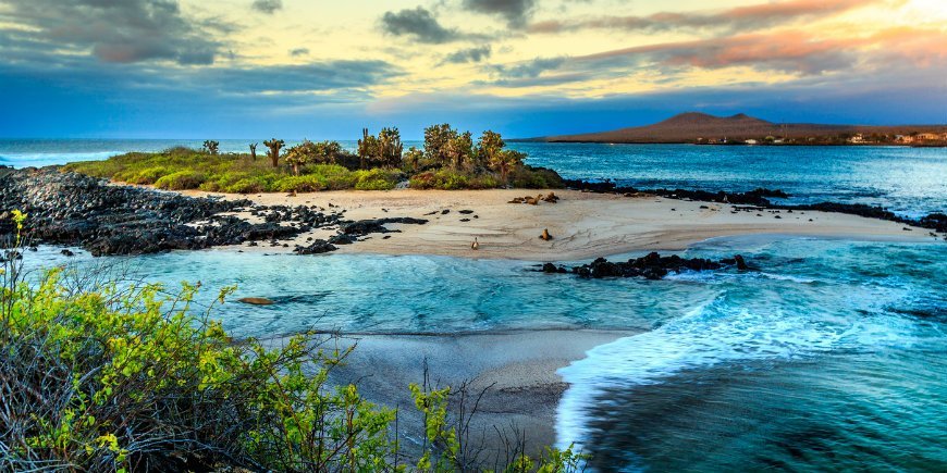 Cruise eller øyhopping på Galapagosøyene